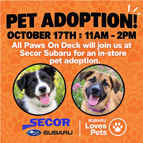 Secor Pet Adoption Flyer